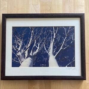 Framed Tree Photography Art by Mike McGuerty custom framed